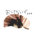 kuruminowanko1（個別スタンプ：14）