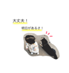 黒柴さすけ（個別スタンプ：22）