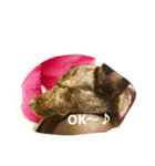 かわいいウランちゃん♪（個別スタンプ：3）