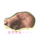 moko3（個別スタンプ：2）