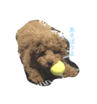 moko3（個別スタンプ：3）