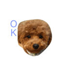 moko3（個別スタンプ：6）