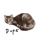 猫のこげめ（個別スタンプ：5）