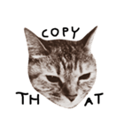 猫のこげめ（個別スタンプ：12）