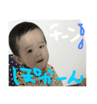 renpipi（個別スタンプ：6）