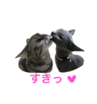 シナモン×ローズ2（個別スタンプ：12）