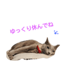 fu ＆ an 4（個別スタンプ：3）