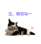 fu ＆ an 4（個別スタンプ：5）
