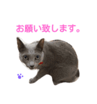 fu ＆ an 4（個別スタンプ：6）