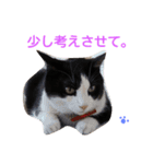fu ＆ an 4（個別スタンプ：8）
