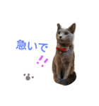 fu ＆ an 4（個別スタンプ：18）