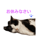 fu ＆ an 4（個別スタンプ：28）