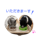 fu ＆ an 4（個別スタンプ：38）