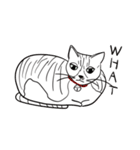 ホワイトキャットファミリー（個別スタンプ：1）