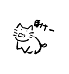 ねこのかんさつ（個別スタンプ：40）