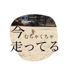 ドルちゃんのスタンプ1（個別スタンプ：23）