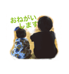 りゅうのスタンプ（個別スタンプ：6）
