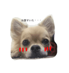 unisanunisan（個別スタンプ：2）