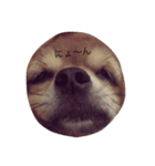 unisanunisan（個別スタンプ：4）