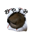 普段使いやすい言葉をまとめてみました。（個別スタンプ：2）