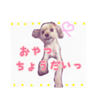 みんちゃん すたんぷ（個別スタンプ：1）