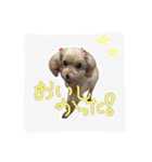 みんちゃん すたんぷ（個別スタンプ：2）