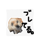 みんちゃん すたんぷ（個別スタンプ：3）