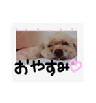 みんちゃん すたんぷ（個別スタンプ：7）