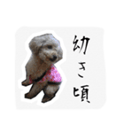 みんちゃん すたんぷ（個別スタンプ：8）