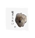 みんちゃん すたんぷ（個別スタンプ：9）
