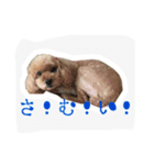 みんちゃん すたんぷ（個別スタンプ：10）