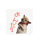 みんちゃん すたんぷ（個別スタンプ：11）