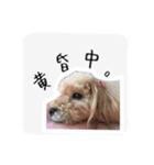 みんちゃん すたんぷ（個別スタンプ：12）