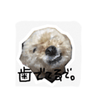 みんちゃん すたんぷ（個別スタンプ：13）