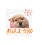 みんちゃん すたんぷ（個別スタンプ：14）