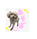 みんちゃん すたんぷ（個別スタンプ：16）