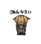 じぇんとるねこ（個別スタンプ：6）