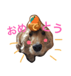 Eコッカー（leo collection）（個別スタンプ：12）