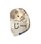 白猫ゆり（個別スタンプ：6）