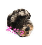 モカモカ5555（個別スタンプ：2）