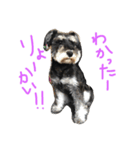 モカモカ5555（個別スタンプ：3）