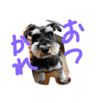 モカモカ5555（個別スタンプ：5）