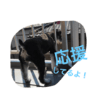 モカモカ5555（個別スタンプ：6）