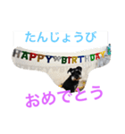 モカモカ5555（個別スタンプ：8）