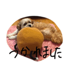 モッピーの日常（個別スタンプ：11）