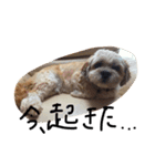 モッピーの日常（個別スタンプ：14）