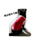 kakaricho Rocky（個別スタンプ：13）