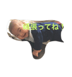 harusan.（個別スタンプ：7）