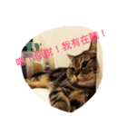 BiBi＆BoBo（個別スタンプ：2）