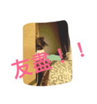 BiBi＆BoBo（個別スタンプ：3）